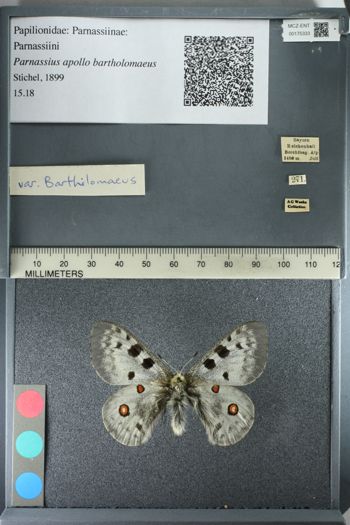 Media type: image;   Entomology 175333